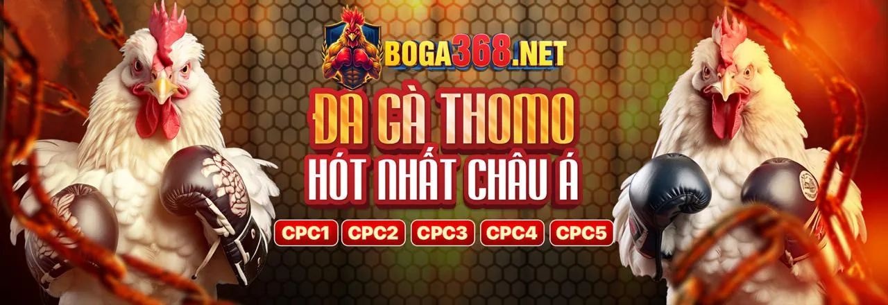 Đá gà trực tuyến full88 web: Sân đấu kịch tính và an toàn